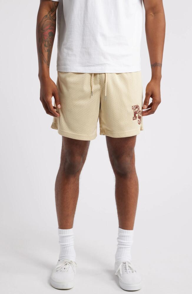 PacSun Aaron Drawstring Mesh Shorts in Fog Cover