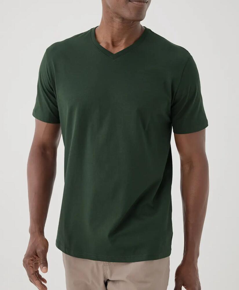 Pact Organic Softspun V-Neck Tee in Mountain View Cover