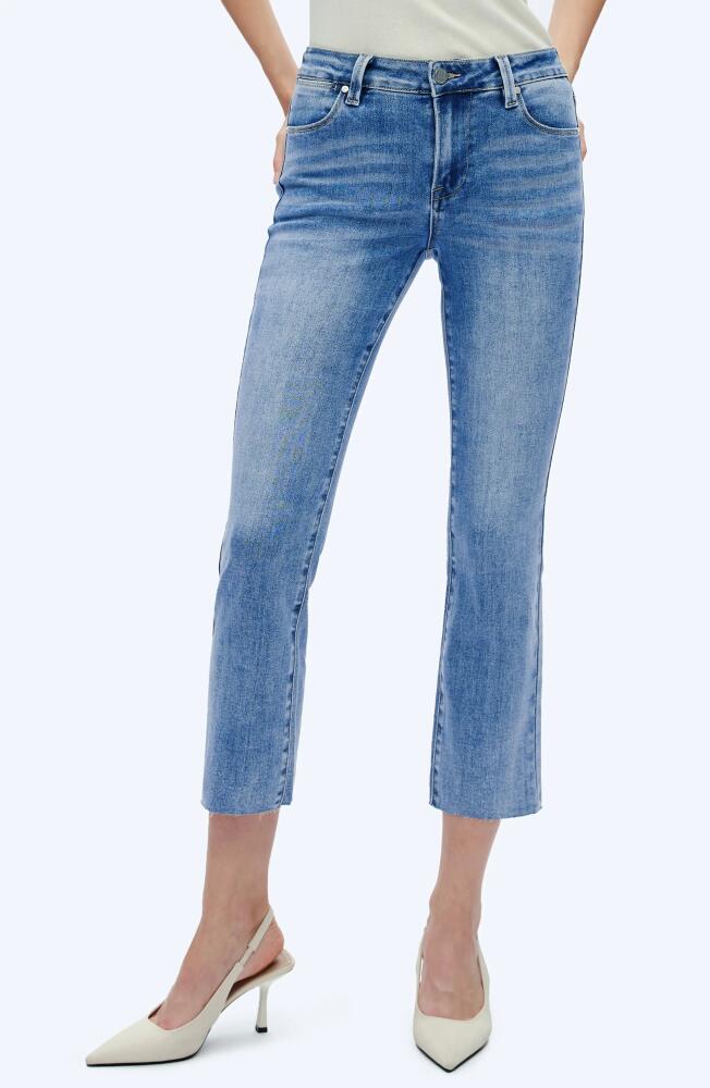 Bayeas Raw Hem High Waist Crop Straight Leg Jeans in Medium Blue Cover