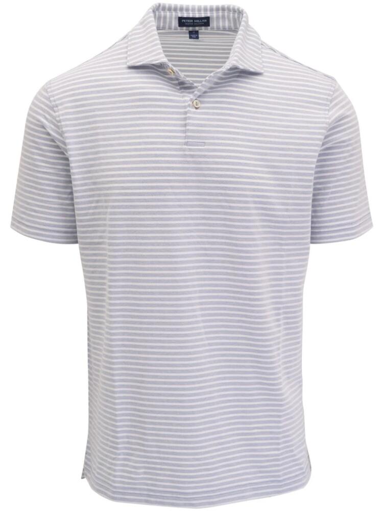 Peter Millar Albatross polo shirt - Blue Cover