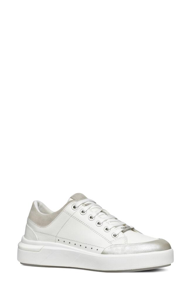 Geox Dalyla Sneaker in White/Grey Cover