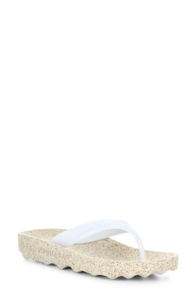 Asportuguesas by Fly London Feel Flip Flop in Natural/White Rubber Cover