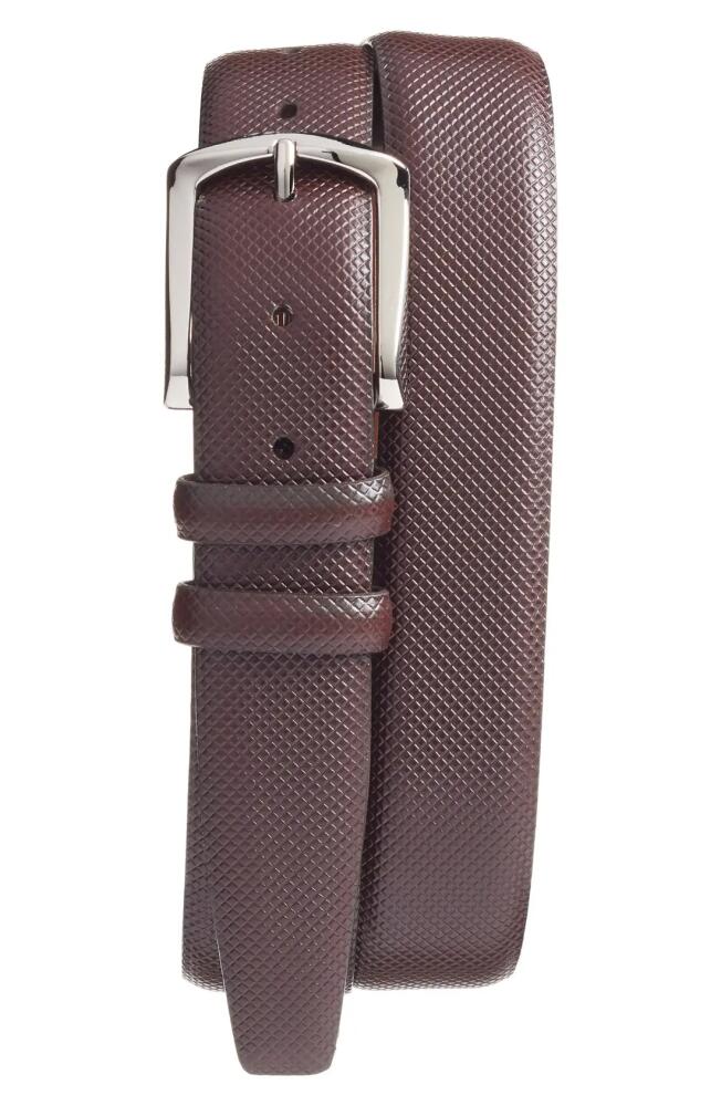 Torino Bulgaro Calfskin Leather Belt in Brown Cover