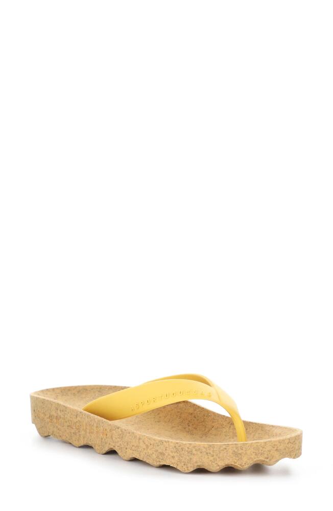 Asportuguesas by Fly London Feel Flip Flop in Yellow Rubber Cover