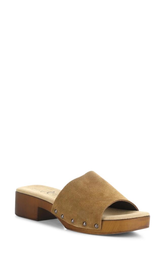 Bos. & Co. Marly Platform Slide Sandal in Cognac Gaucho Cover