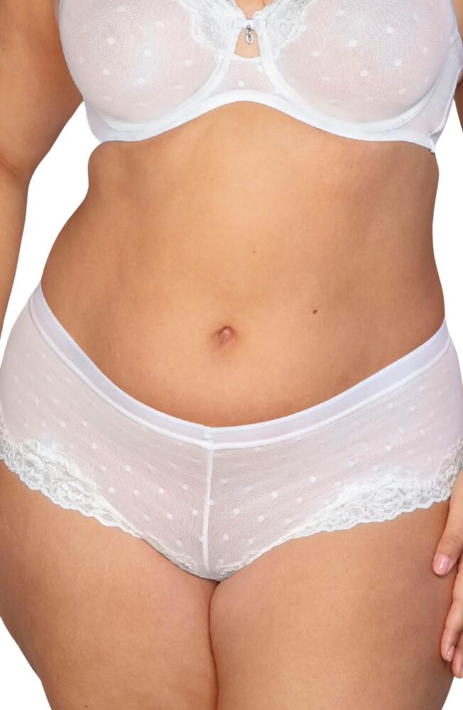 Curvy Couture Sheer Whisper Boyshorts in Pearl Cover