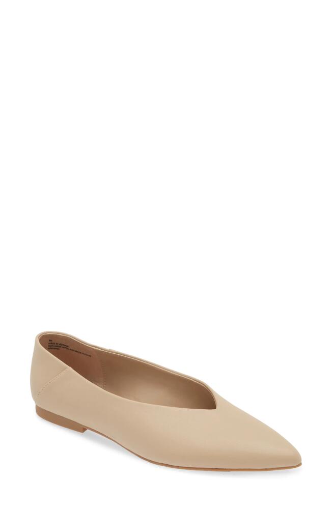 Open Edit Kyler Pointed Toe Flat in Beige Taupe Cover