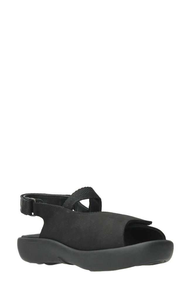 Wolky Jewel XW Sandal in Black Cover