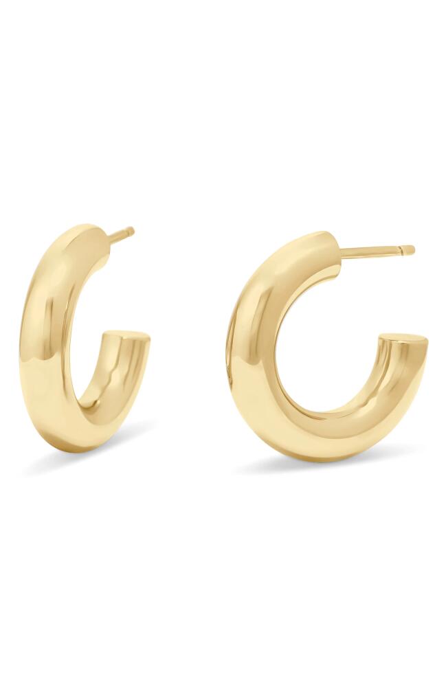 Brook and York Rina Tube Hoop Earrings in Gold Cover