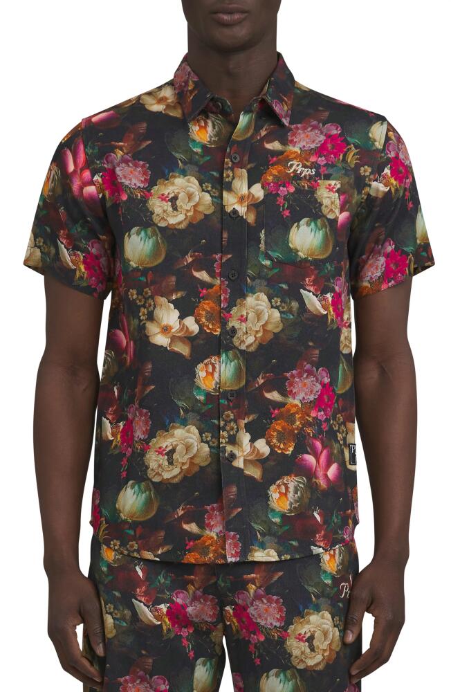 PRPS Gold Finch Floral Short Sleeve Cotton Button-Up Shirt in Black Cover