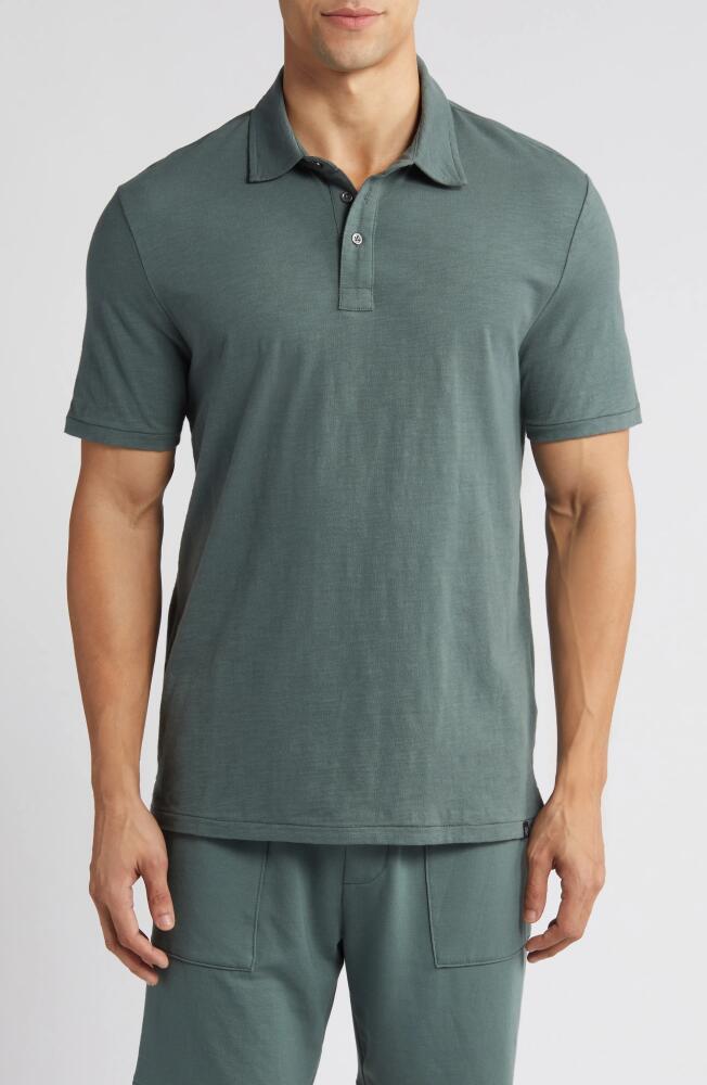 Threads 4 Thought Slub Jersey Polo in Seagrass Cover