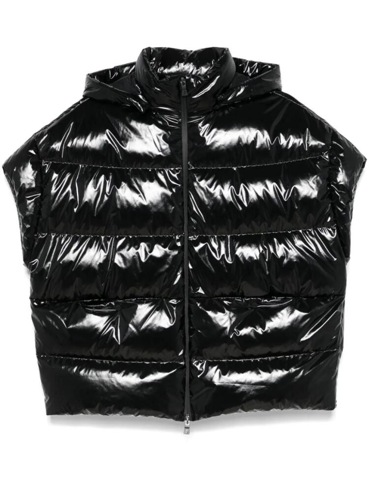 Herno padded gilet - Black Cover