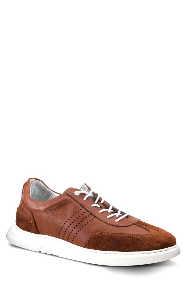 Spring Step Trenton Sneaker in Brown Cover