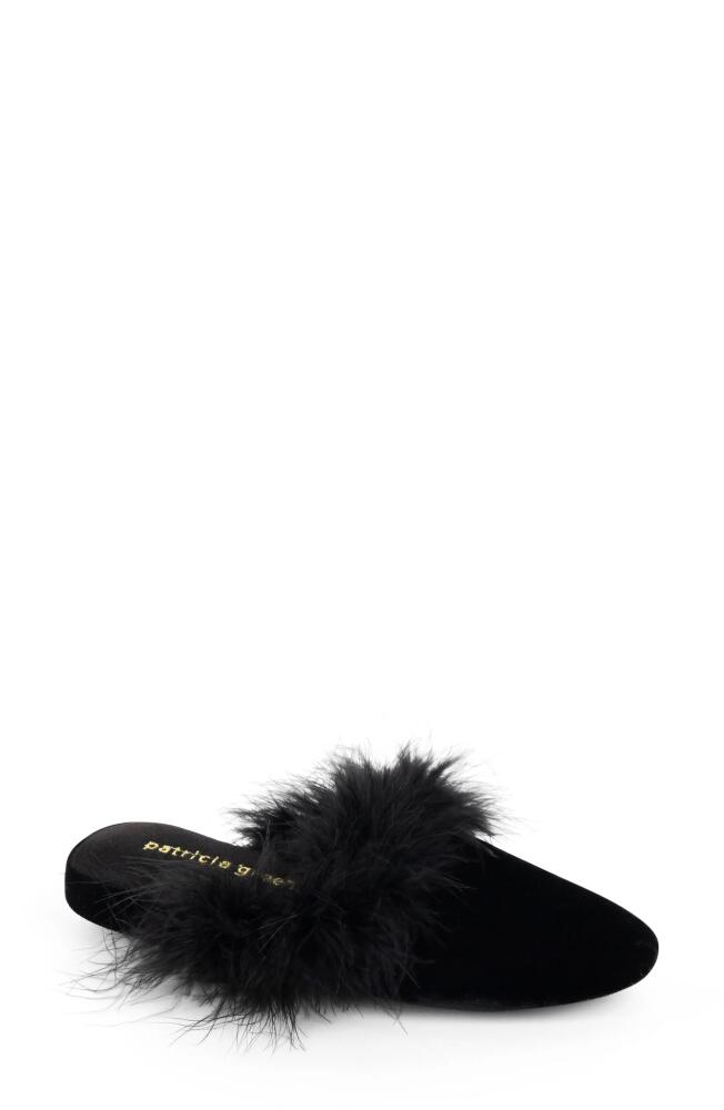 patricia green Party Feather Velvet Slipper in Black Cover