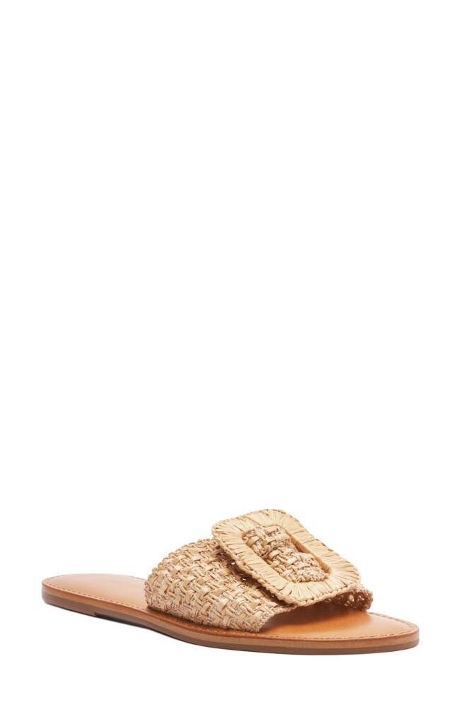 Schutz Cinna Slide Sandal in Natural Cover