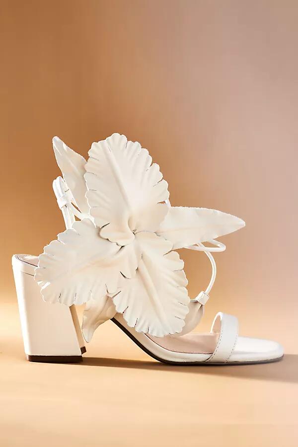 Cecelia New York Hibiscus Heels Cover