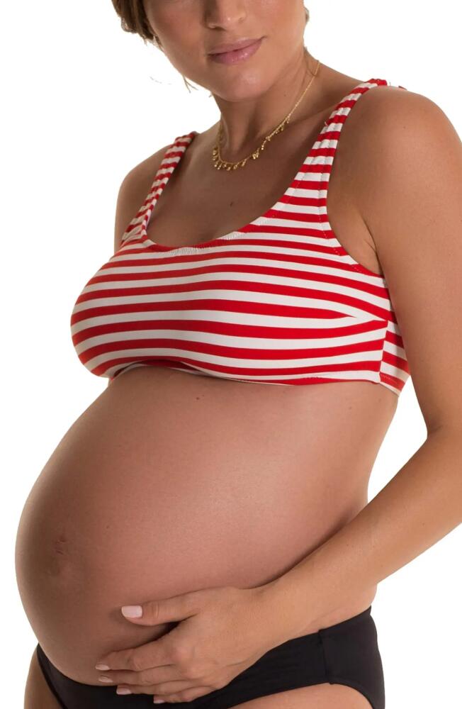 Pez D'Or Alba Stripe Maternity Bikini Top in Red/White Cover