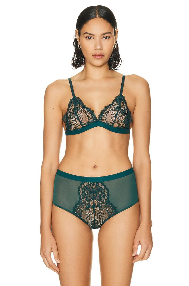 Wolford Belle Fleur Triangle Bralette in Green Cover