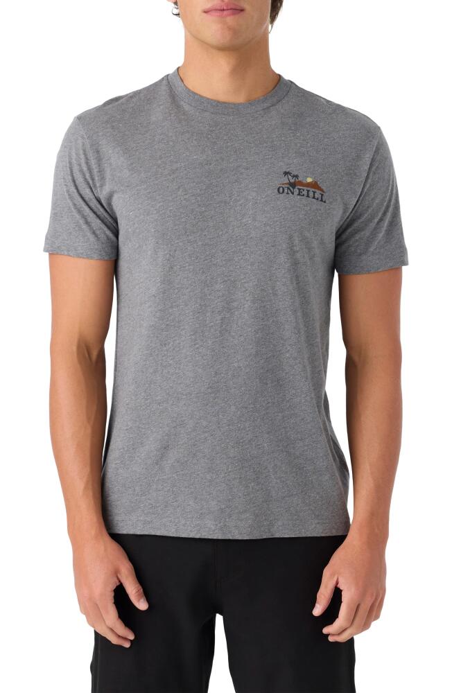 O'Neill Dos Hermanos Graphic T-Shirt in Heather Grey Cover