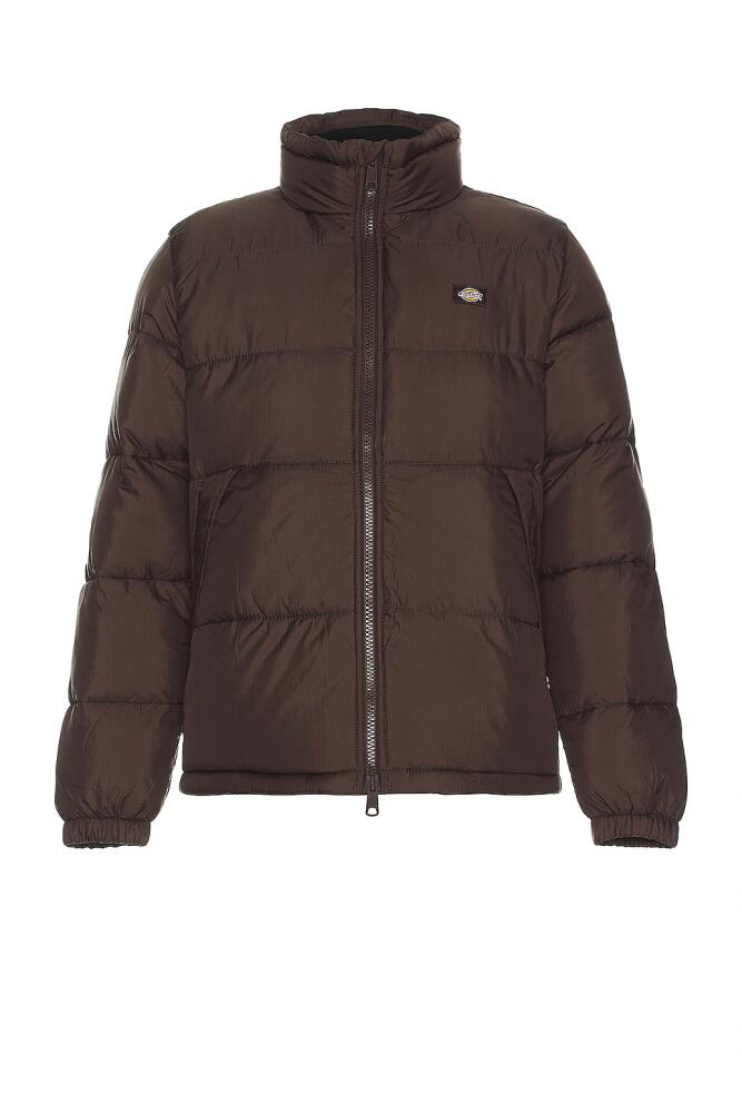 Dickies Waldenburg Jacket in Brown Cover