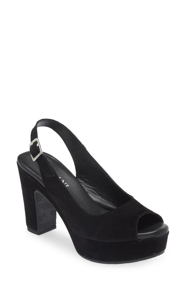 Cordani Tyler Peep Toe Slingback Pump in Crosta Pelle Nero Cover