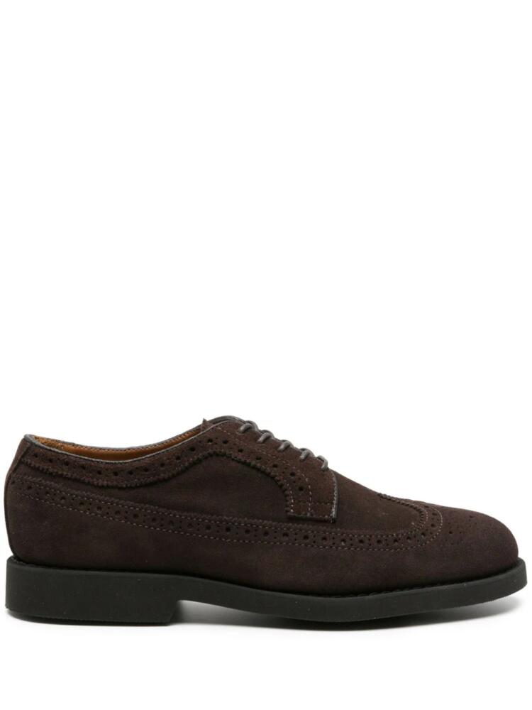 Sebago Canton suede brogue shoes - Brown Cover