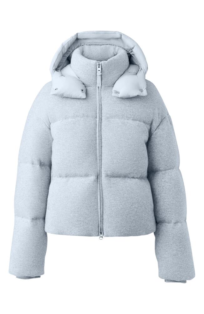 Mackage Tessy Down Puffer Jacket with Removable Hood in Light Grey Melange Cover