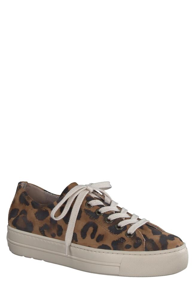 Paul Green Bixby Platform Sneaker in Leopard White Combo Cover