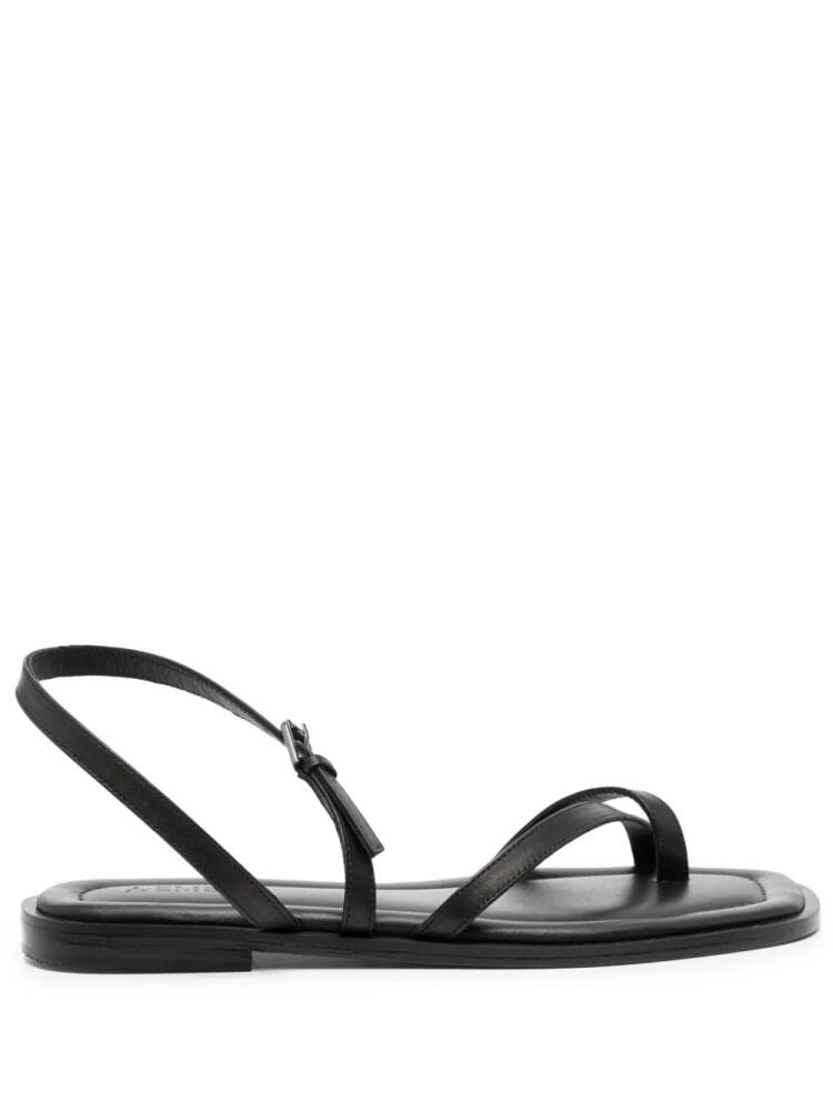 A.EMERY Lucia buckle-fastening leather sandals - Black Cover