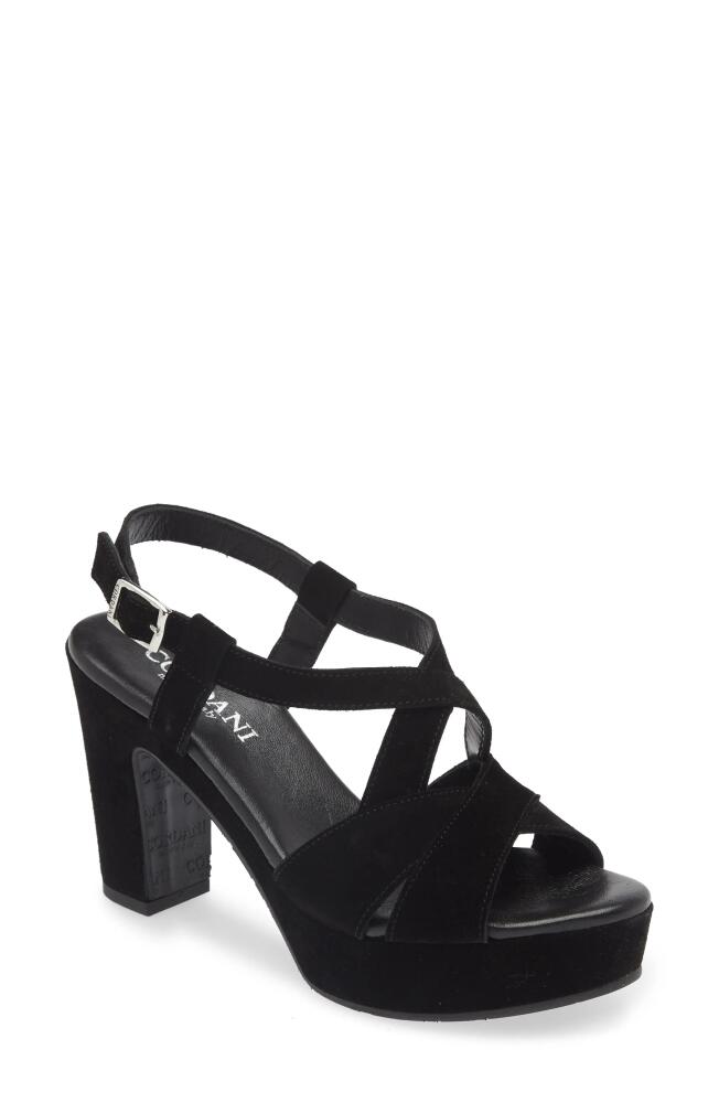 Cordani Tahlia Strappy Platform Sandal in Crosta Nero Cover