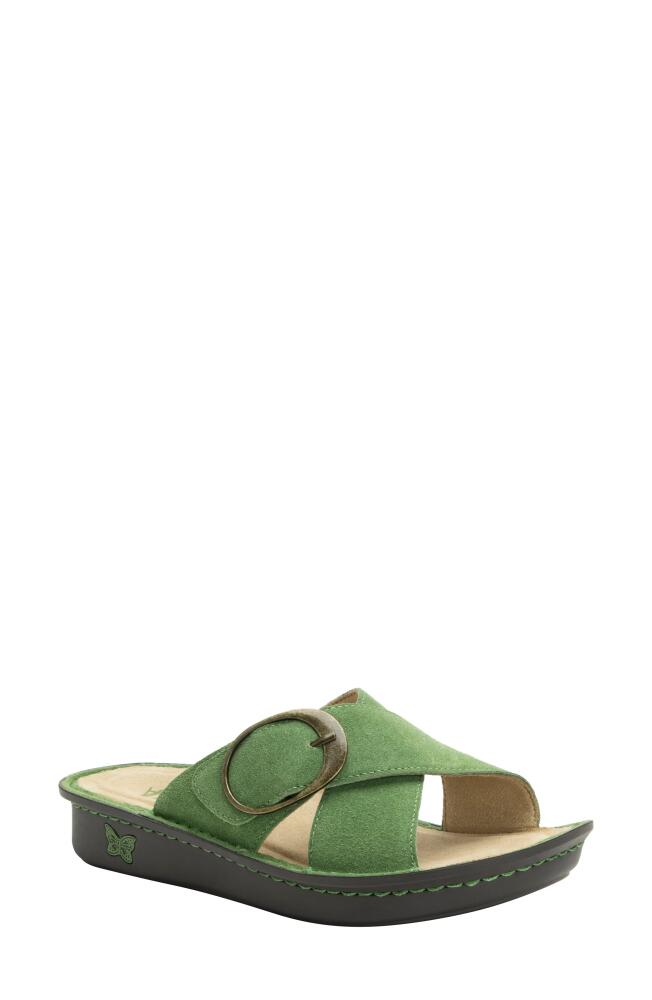 Alegria by PG Lite Vanya Loretta Slide Sandal in Olive You Cover