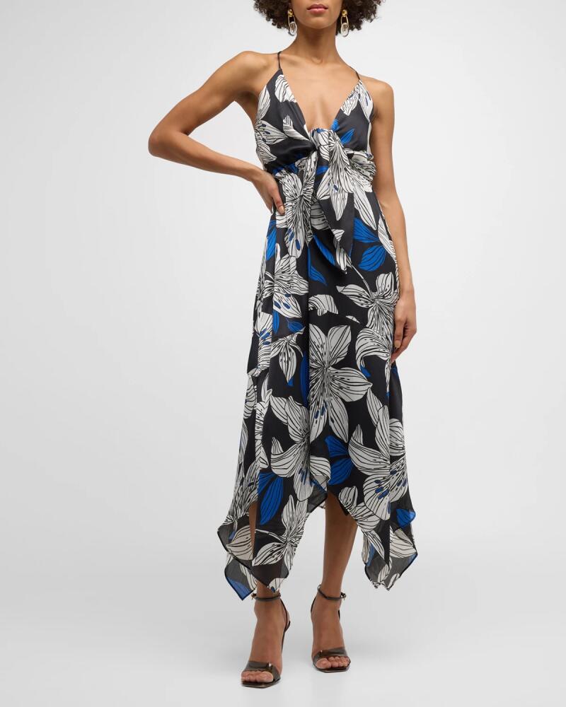 Ramy Brook Estrella Lily-Print Midi Dress Cover