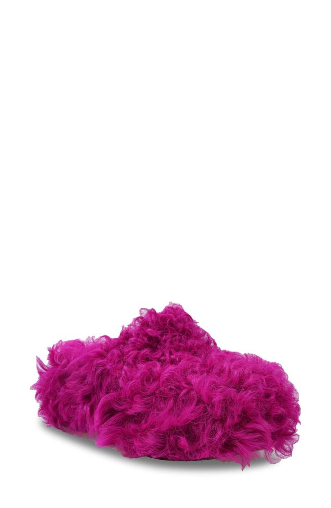 ZIGI Jincy Faux Shearling Clog in Fuschia Cover