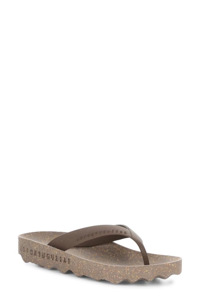 Asportuguesas by Fly London Feel Flip Flop in Brown Rubber Cover