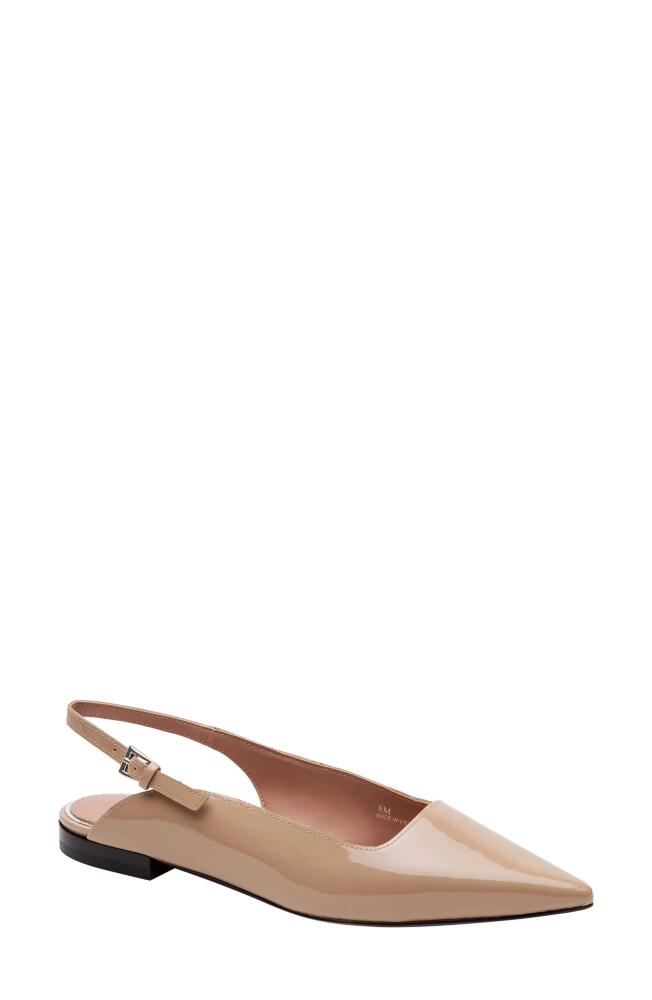 Linea Paolo Caia Pointed Toe Slingback Flat in Maple Sugar Cover