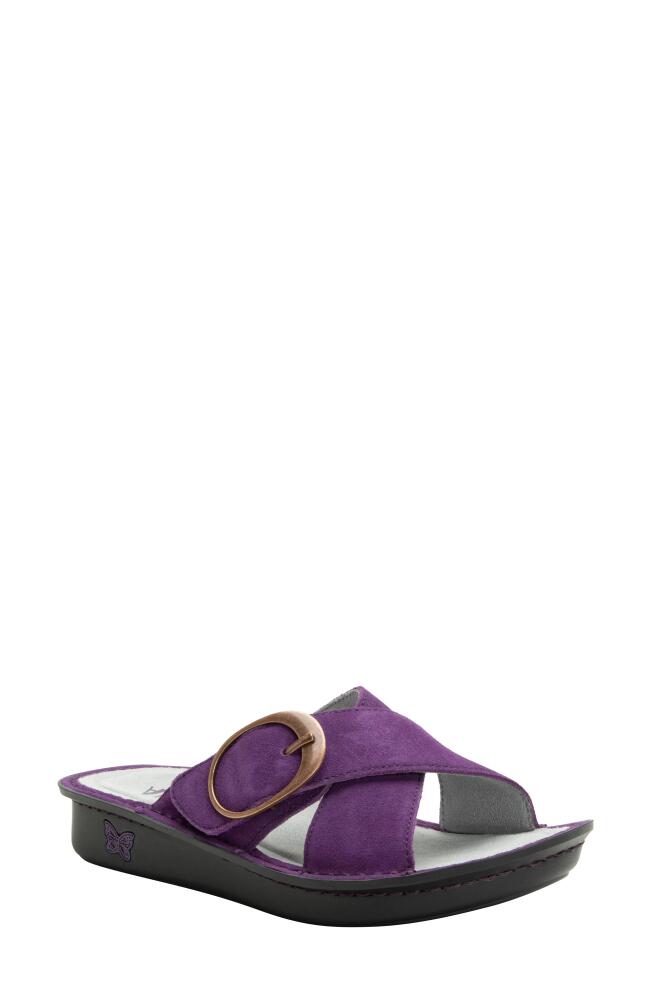 Alegria by PG Lite Vanya Loretta Slide Sandal in Deep Amthyst Cover