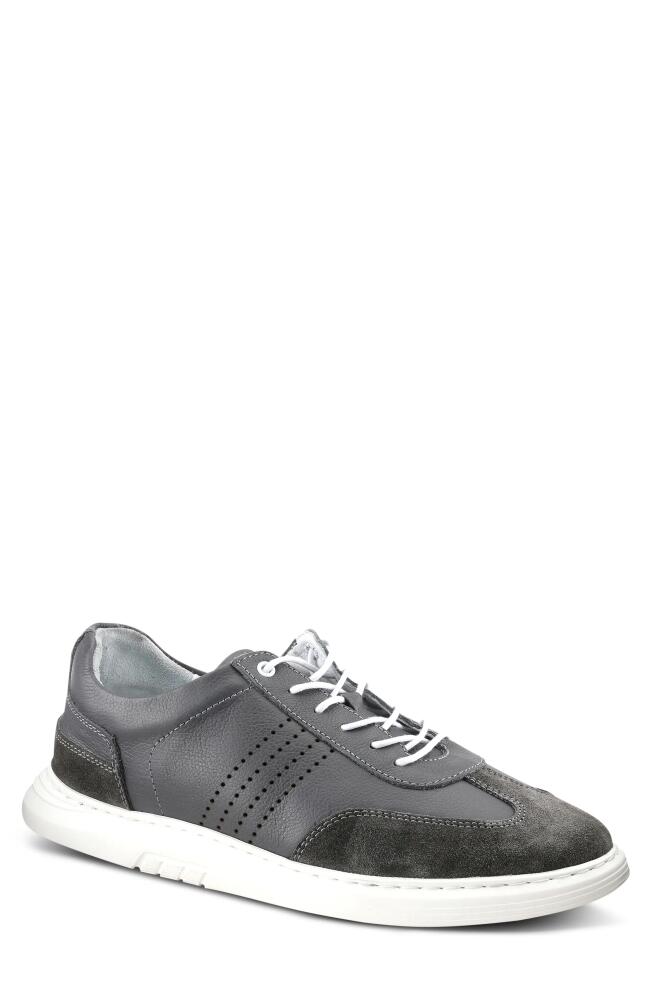 Spring Step Treton Sneaker in Grey Cover