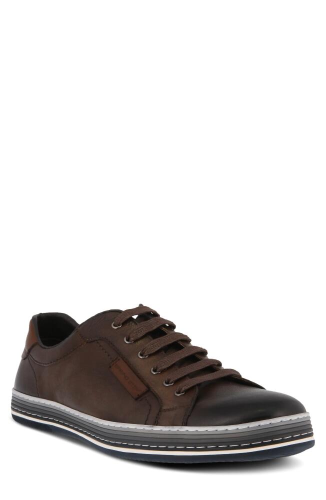 Spring Step Tommie Leather Sneaker in Chocolate Brown Cover