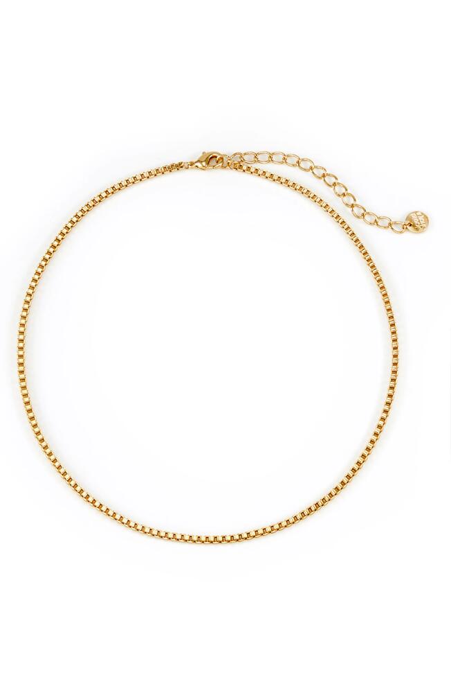 Brook and York Emma Box Chain Choker in Gold Cover