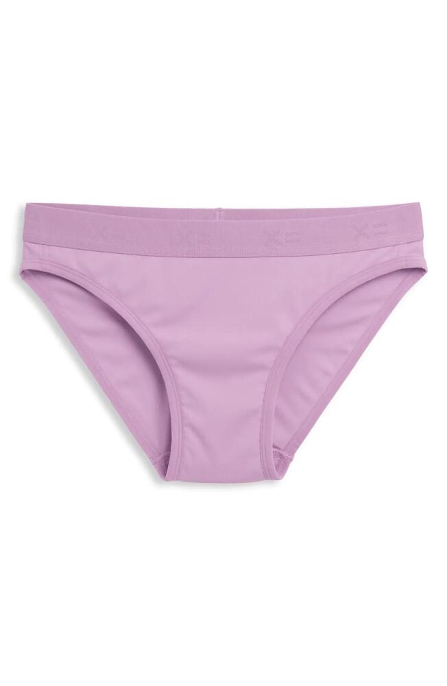 TomboyX Tucking Bikini in Sugar Violet Cover