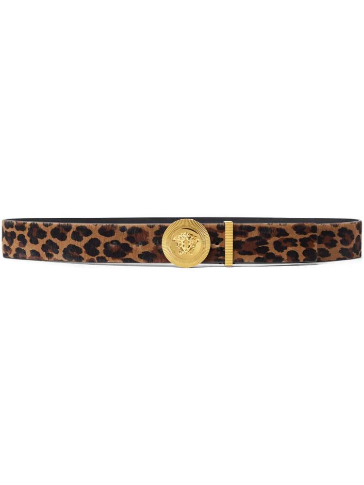 Versace Medusa Biggie leopard-print belt - Brown Cover