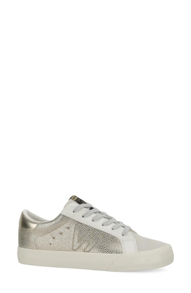 Vintage Havana Starter Sneaker in Gold Pebbled Multi Cover