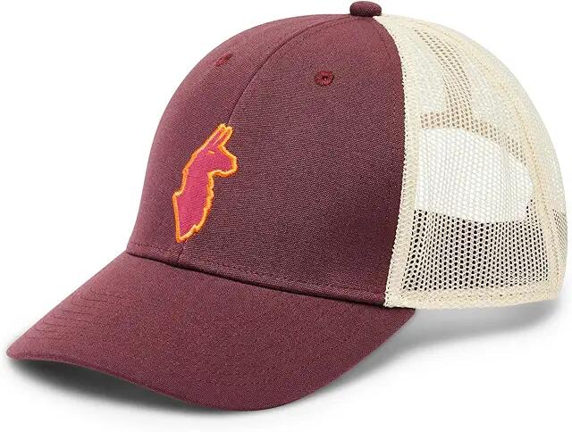 Cotopaxi Llama Trucker Hat (Wine) Caps Cover