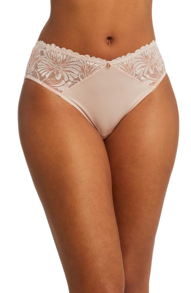 Montelle Intimates Anniversary Briefs in Lotus Cover