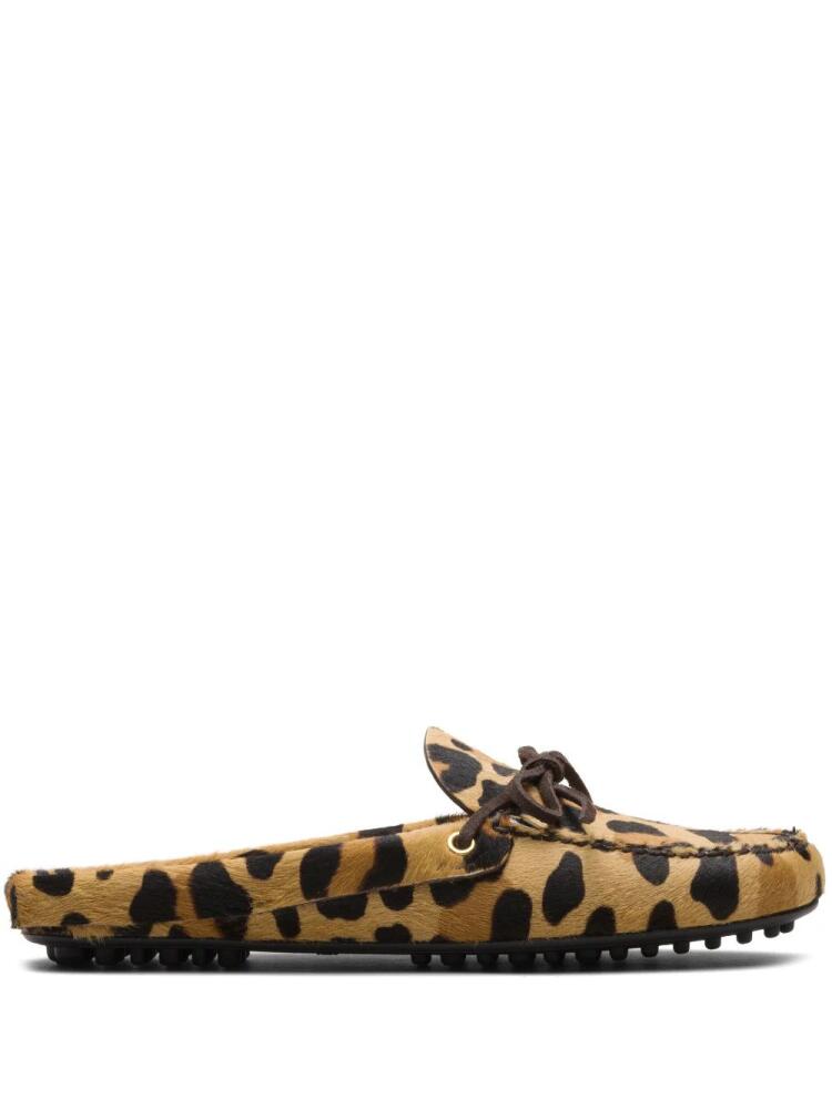 Car Shoe leopard-print slippers - Brown Cover