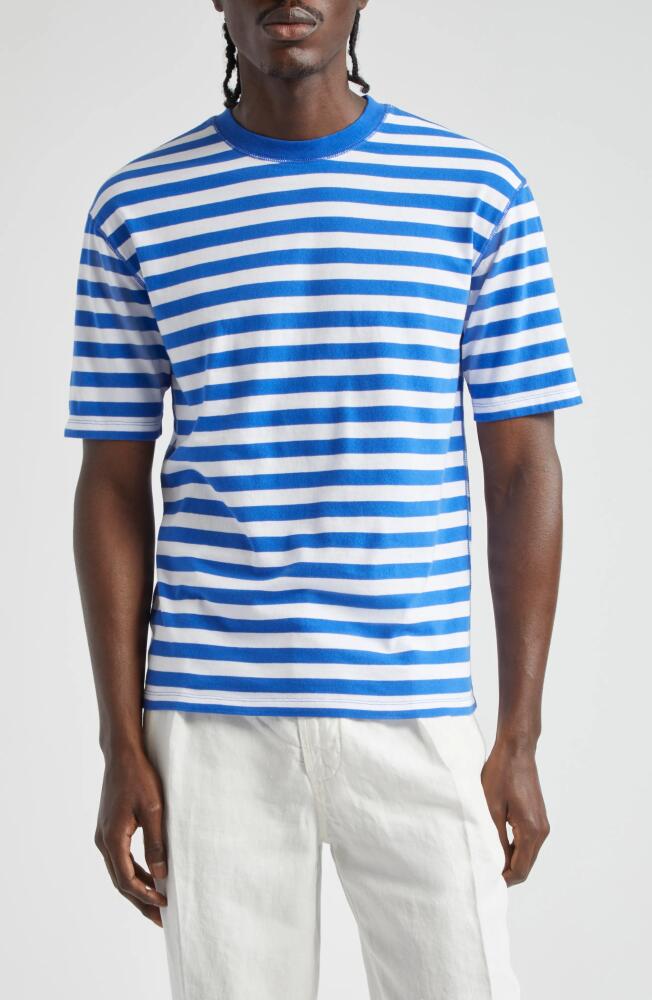 Drake's Stripe Cotton Hiking T-Shirt in Navy And White Cover