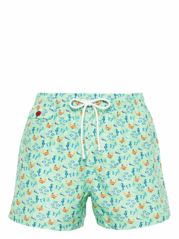 Kiton graphic-print swim shorts - Green Cover