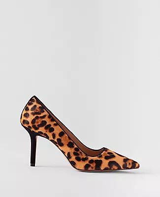 Ann Taylor Mae Haircalf and Leather Pumps Cover