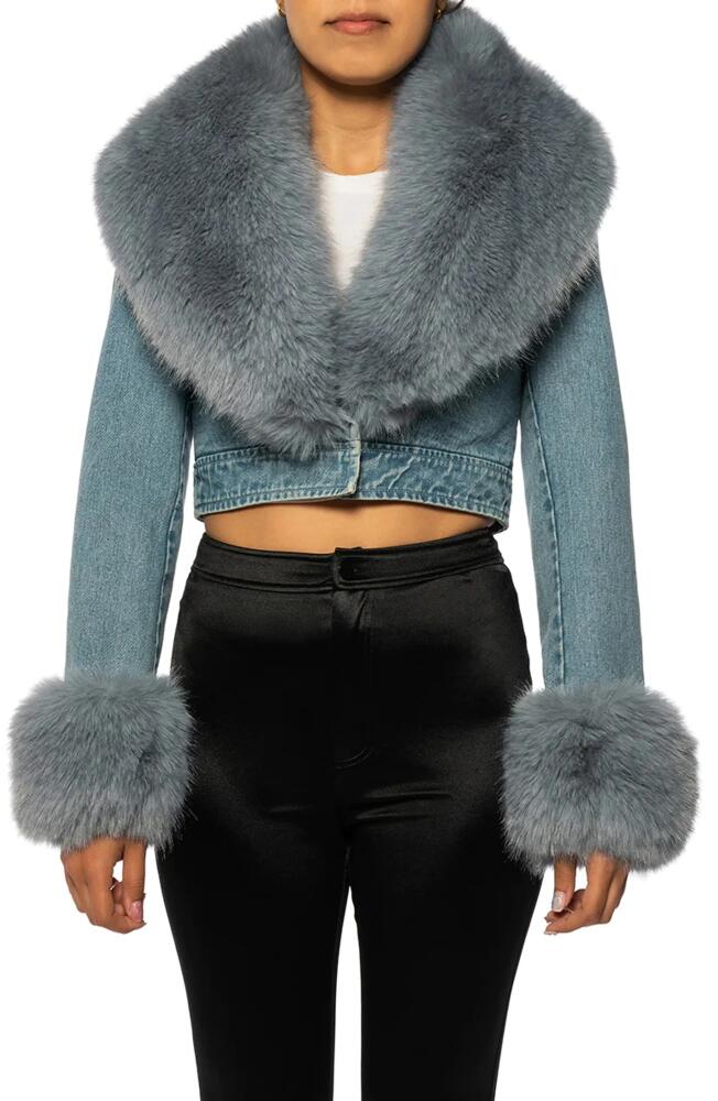 AZALEA WANG Denim Trucker Jacket with Faux Fur Cuffs & Removable Faux Fur Collar in Blue Cover