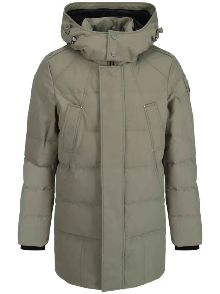 Moose Knuckles Cloud parka - Green Cover